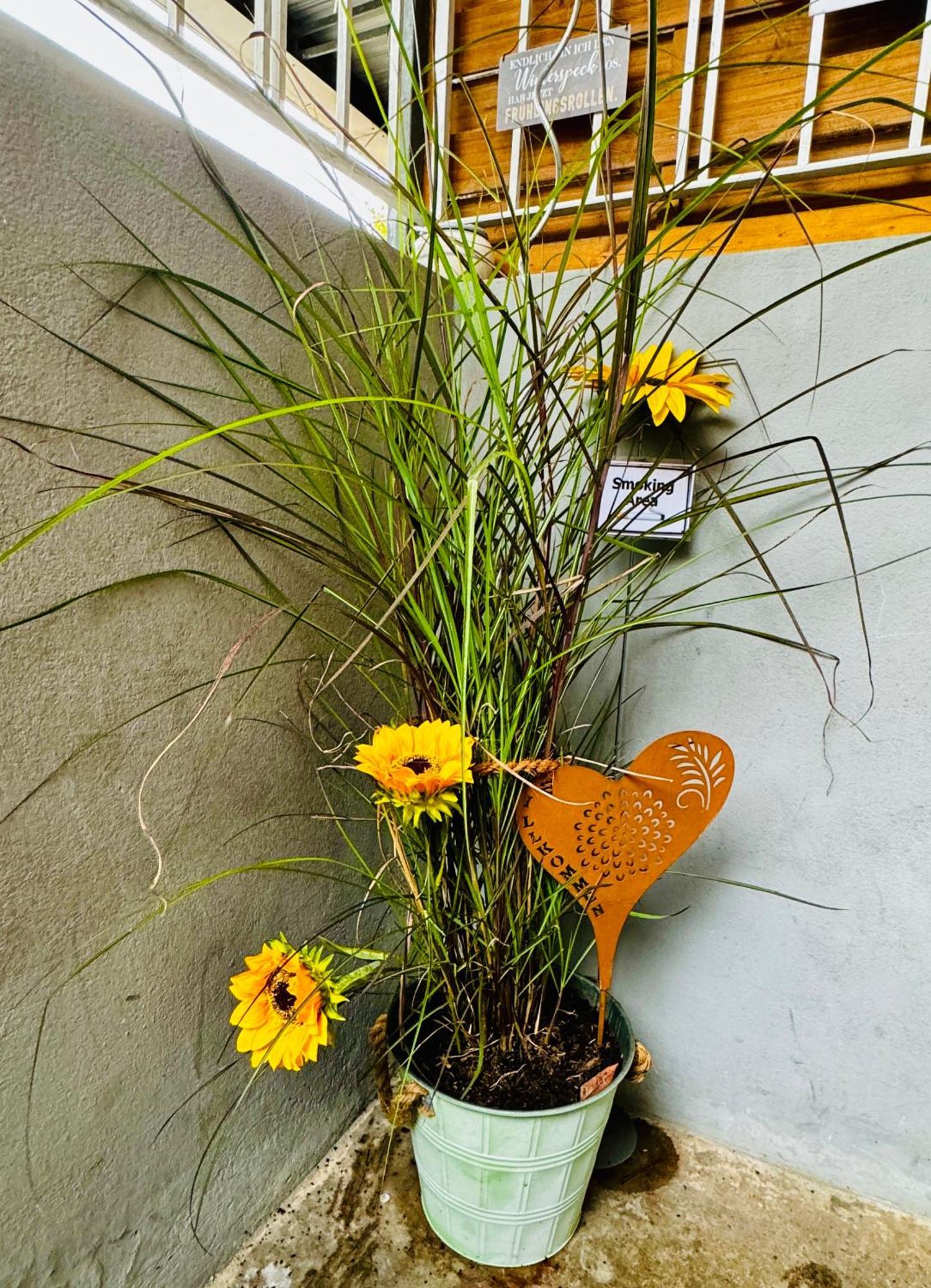 Tulip Path 3, Ferien & Monteur Wohnung Melle Εξωτερικό φωτογραφία